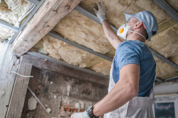 Best DIY Insulation Kits and Guidance in Cornwells Heights, PA